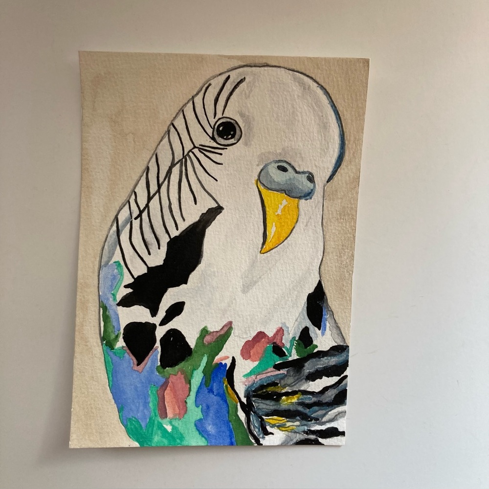 Colorful Parakeet Watercolor Painting
